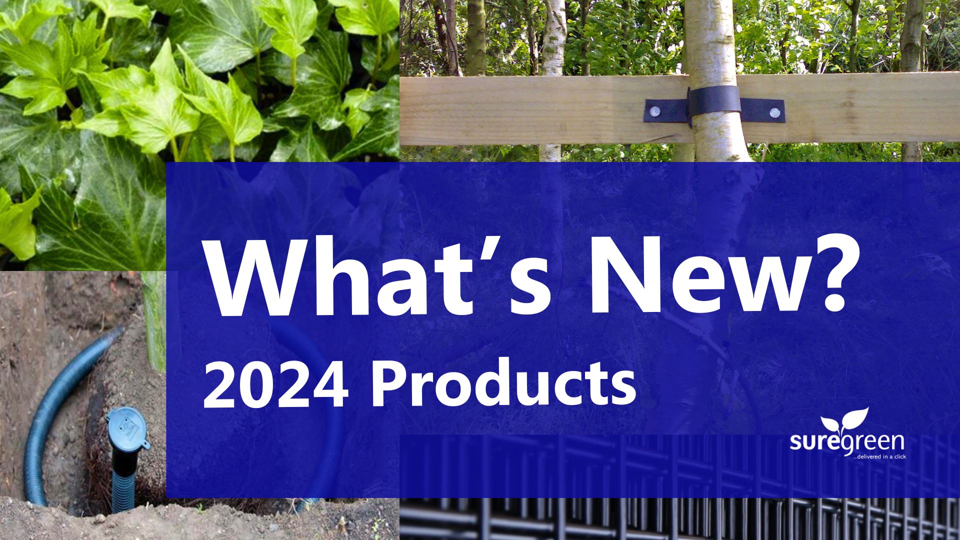 Suregreen: New products and ranges for 2024