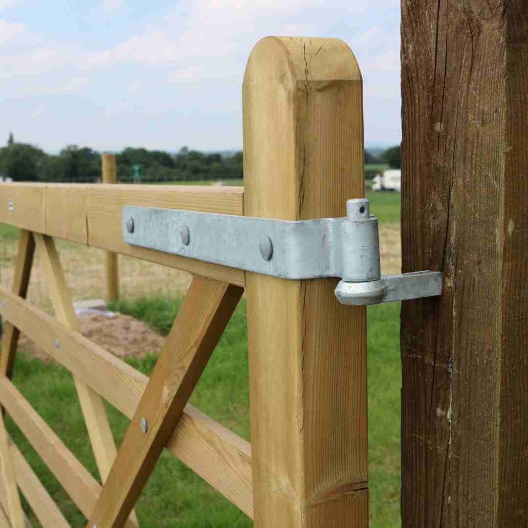 Suregreen | Field Gate Hinges