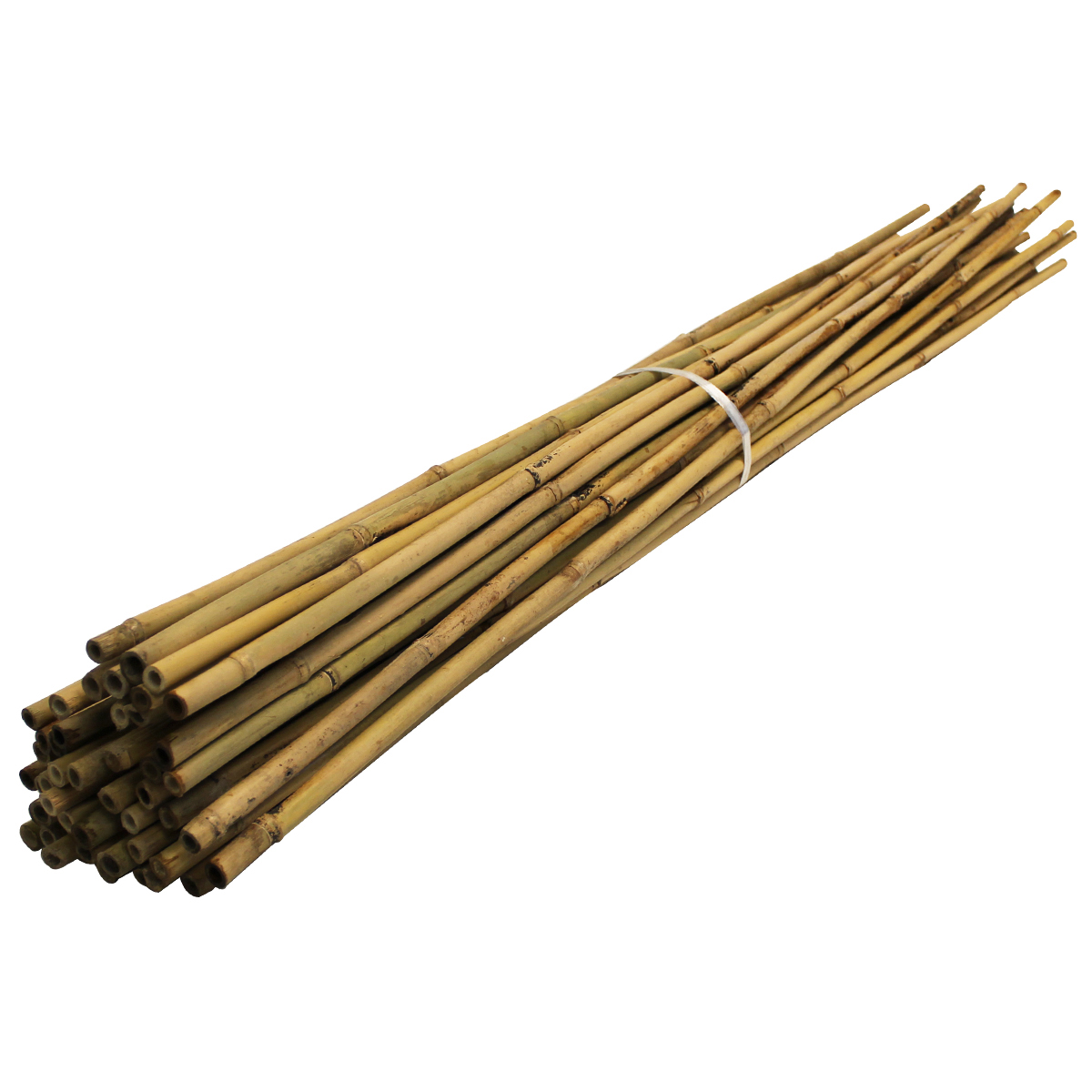 Suregreen | Bamboo Canes | 90cm